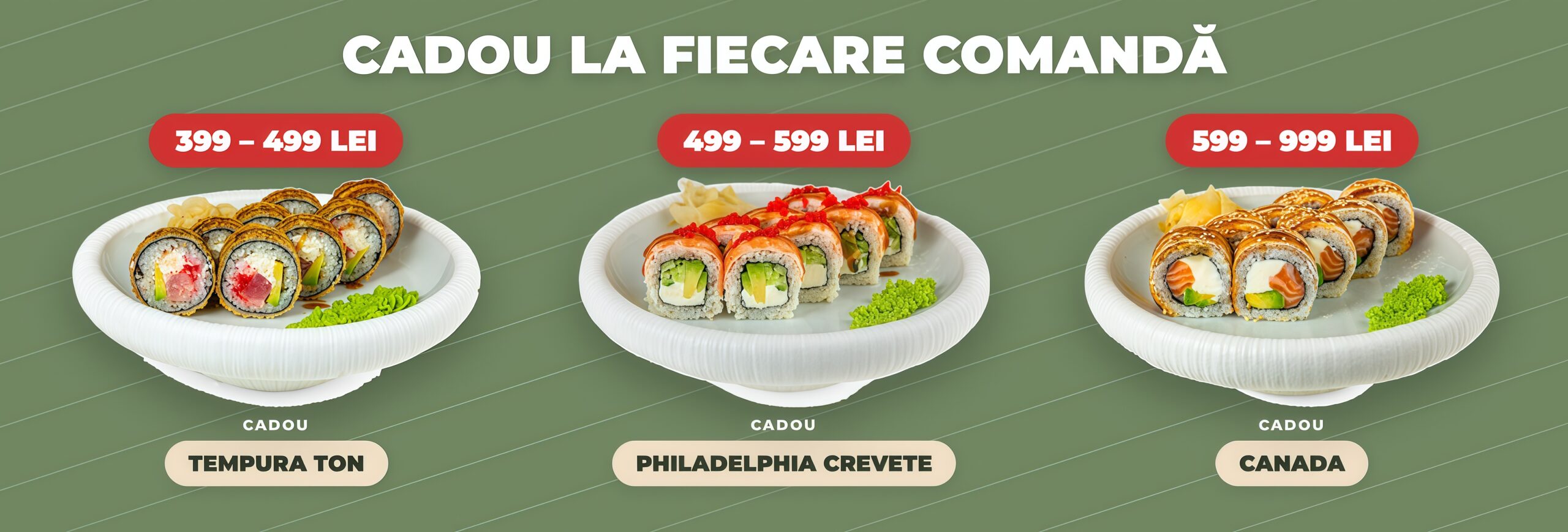 Sumosushi.md Banner Main page ro